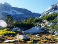 Mount Conness set behind an alpine meadow